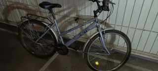 Bicicleta de paseo DTB Cross 8.0.