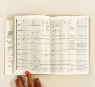 El manual del artista - Ray Smith