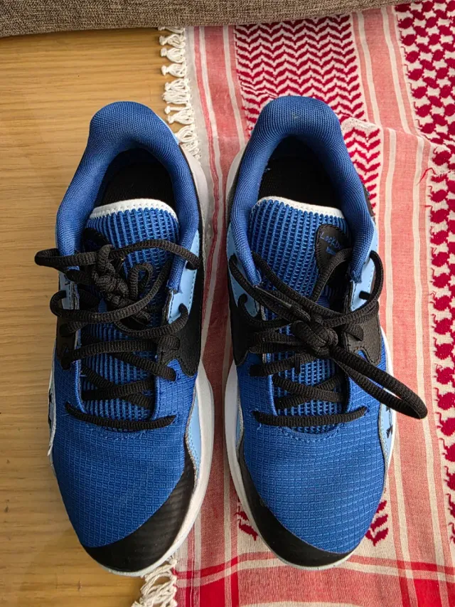 Zapatillas Under Armour UA Lockdown 7 Low Talla 40