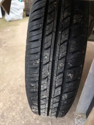 Remolque para perros