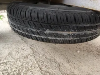 Remolque para perros