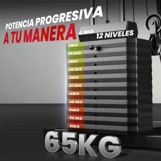 Máquina de musculación 65kg