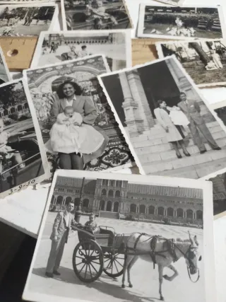 Lote Fotos Antiguas Parque María Luisa años 50