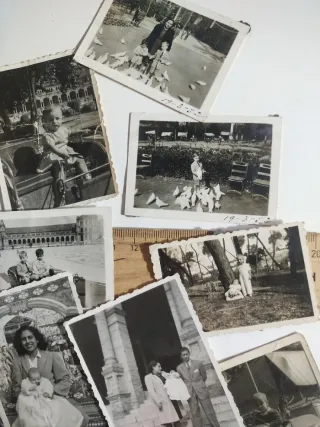 Lote Fotos Antiguas Parque María Luisa años 50