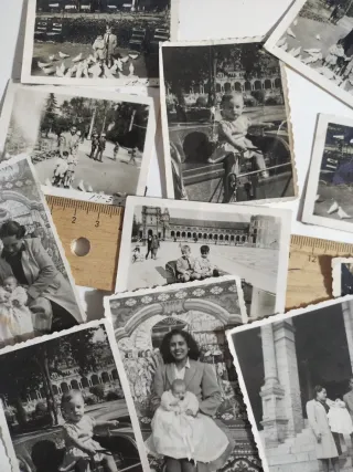 Lote Fotos Antiguas Parque María Luisa años 50