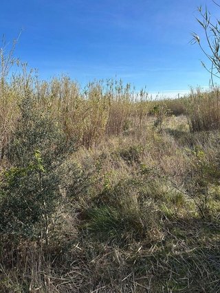 Terreno en venta en Migjorn en Reus