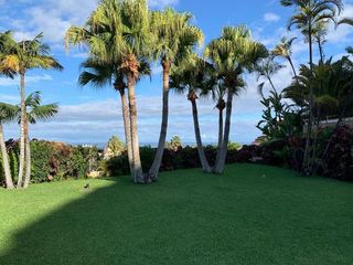 Piso en alquiler en San Antonio - Las Arenas en Puerto de la Cruz