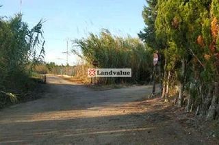 Terreno en venta en Playa de Gandia en Gandia