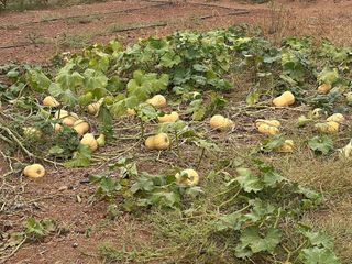 Solar en venta en Quintanar de la Orden