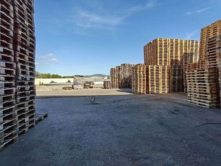 Nave industrial en alquiler en Sant Esteve Sesrovires