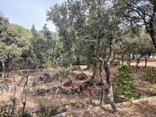 Terreno en venta en Colmenarejo