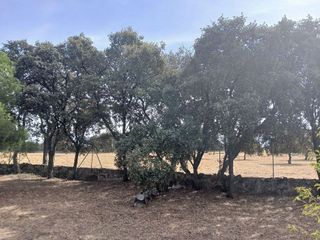 Terreno en venta en Colmenarejo
