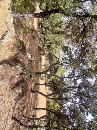 Terreno en venta en Colmenarejo