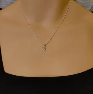 Colgante de Plata de Ley