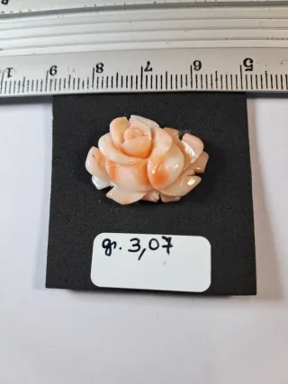 Rosa corallo naturale