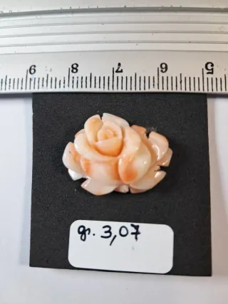 Rosa corallo naturale