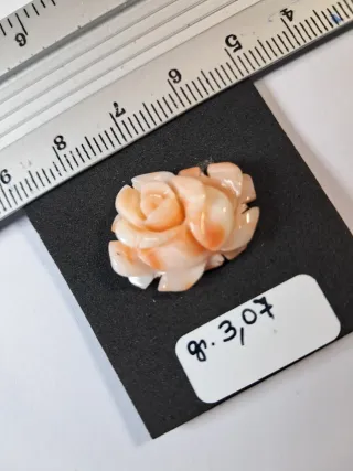 Rosa corallo naturale