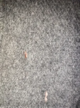 Chaqueta Lana Vintage Lacoste Gris