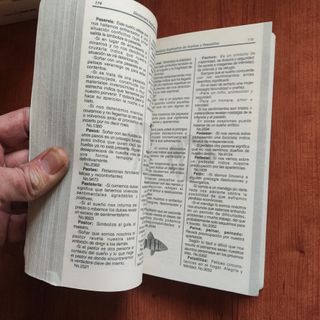 Diccionario explicativo de Sueños y Pesadillas