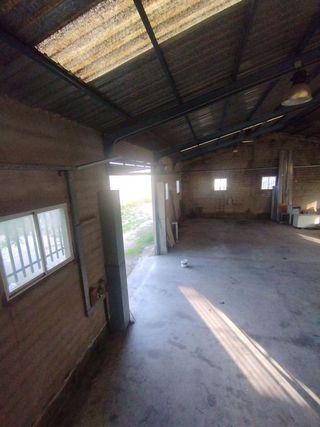 Nave industrial en venta en Bullas
