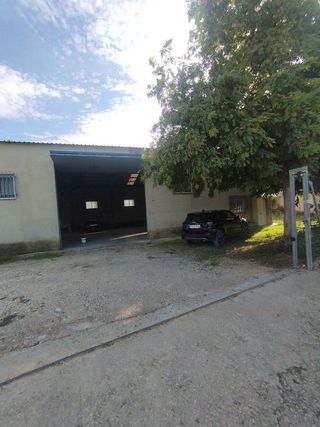Nave industrial en venta en Bullas