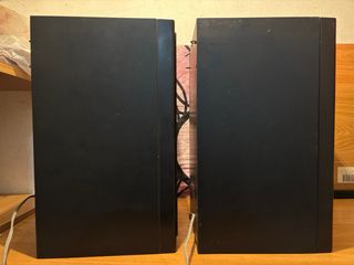 Altavoces Sony SS-A950 (2 unidades)