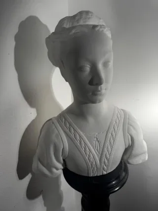 Busto La Dama di Urbino in gesso