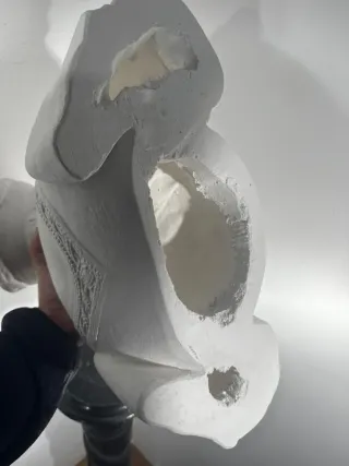 Busto La Dama di Urbino in gesso