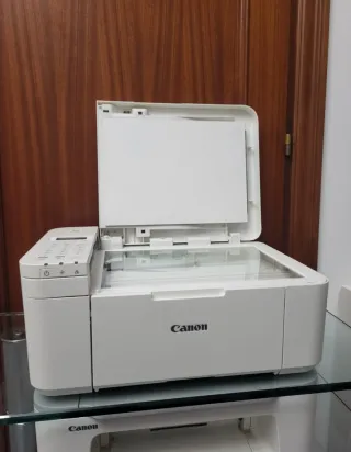 Impresora Canon TR4651