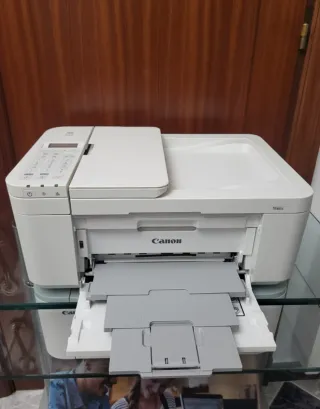 Impresora Canon TR4651