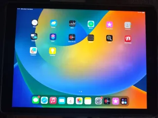 iPad Pro 12.9 1ª Gen 2015 Wifi 32GB