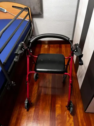 Cama articulada eléctrica, andador, barrera y banq