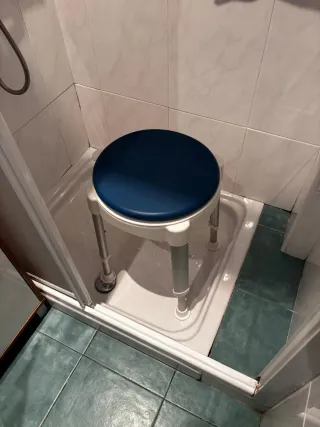 Cama articulada eléctrica, andador, barrera y banq