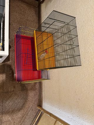 Jaula para roedores negra y naranja