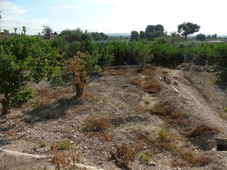 Terreno en venta en Ceutí