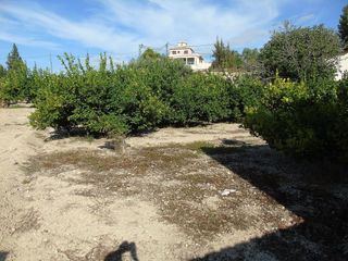 Terreno en venta en Ceutí