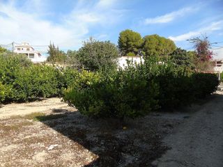 Terreno en venta en Ceutí