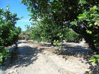 Terreno en venta en Ceutí