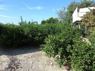 Terreno en venta en Ceutí