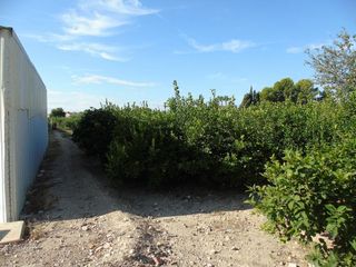 Terreno en venta en Ceutí