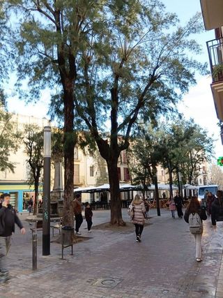 Local comercial en alquiler en Centre Vila en Vilanova i La Geltrú