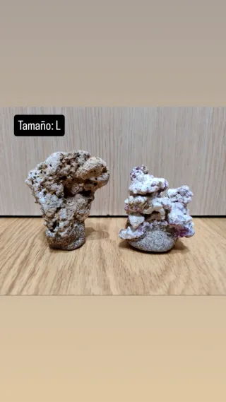 Coralero/esquejero (MAGNÉTICO) Acuario Marino