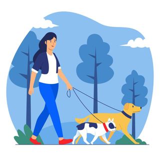 Pasaeadora/cuidadora de perros y animales