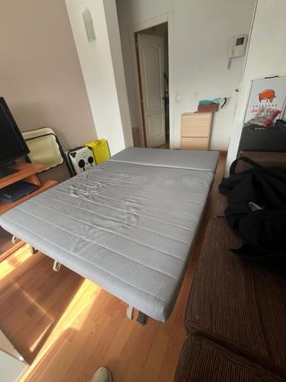 Sofá Cama IKEA LYCKSELE Gris 2 Plazas