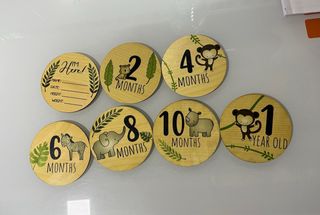 Discos Meses Bebé Safari