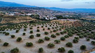 Terreno en venta en Pulianas