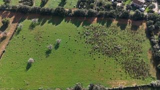 Solar en venta en Llucmajor Interior en Llucmajor