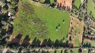 Solar en venta en Llucmajor Interior en Llucmajor