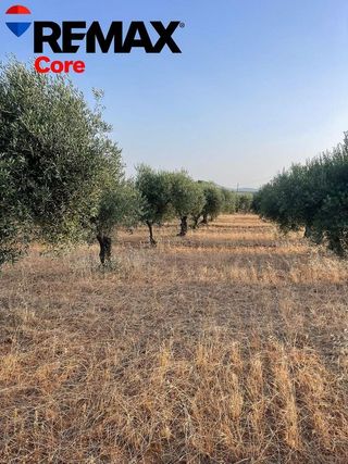 Casa rural en venta en Sur en Mérida