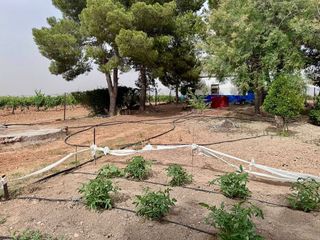 Terreno en venta en Valdepeñas